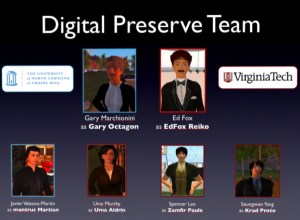 Digital Preserve Team