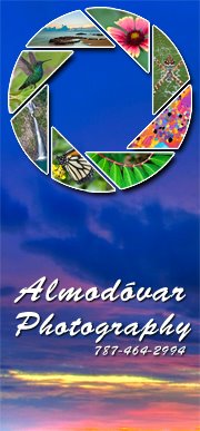 Almodovar photography