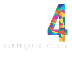 logo sel43